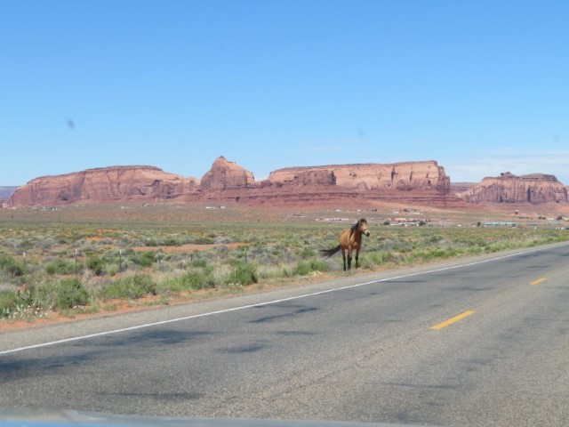 Monument Valley (17).JPG